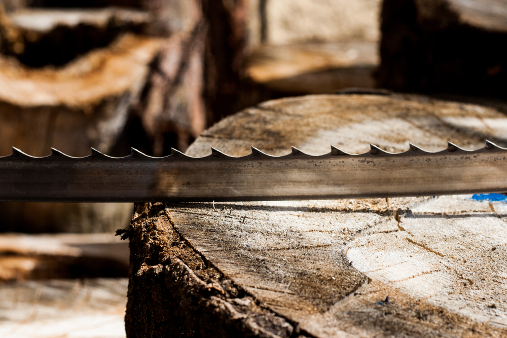 Band Saw for wood cutting